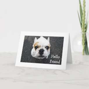 Hallo Vriend Bulldog Wenskaart - Vers Kaart