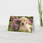 Hallo Vriend Golden Retriever Puppy Kitten Kaart (Voorkant)