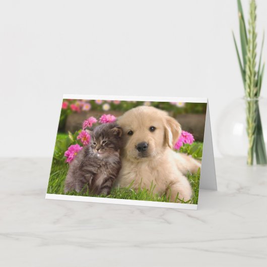 Hallo Vriend Golden Retriever Puppy Kitten Kaart (Voorkant)