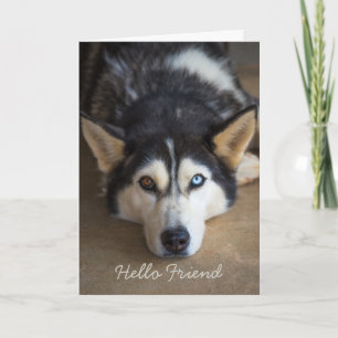 Hallo Vriend Husky Hond Gepersonaliseerde Groet Kaart