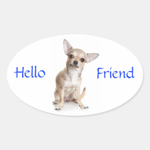 Hallo Vriend Lachende Chihuahua Sticker