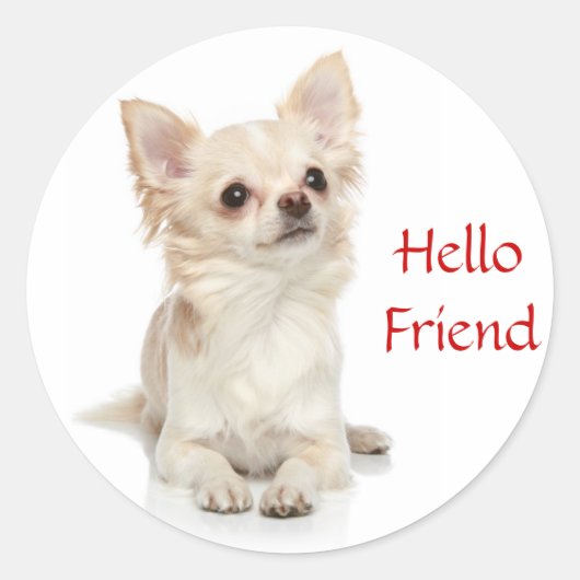 Hallo Vriend Lang Haired Chihuahua Sticker (Voorkant)
