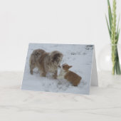 Hallo Vriend Wenskaart Kaart (Voorkant)