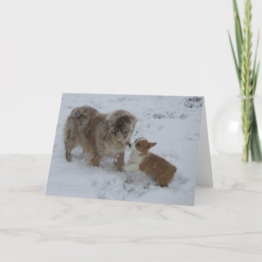 Hallo Vriend Wenskaart Kaart (Voorkant)