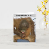 Hallo Wazzup Funny Kaart (Gele Bloem)