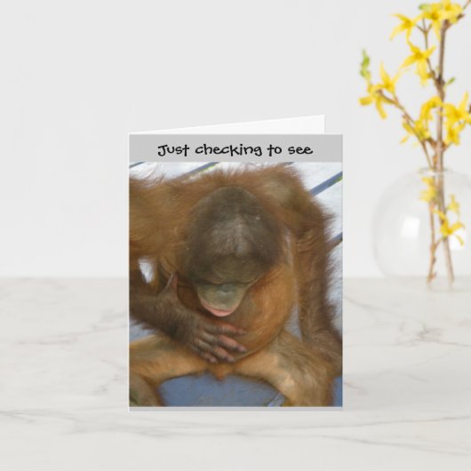 Hallo Wazzup Funny Kaart (Gele Bloem)