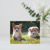 hallo Welsh Pembroke Corgi Puppy Dog Briefkaart (Staand voorkant)