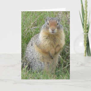 hallo wenskaart kaart