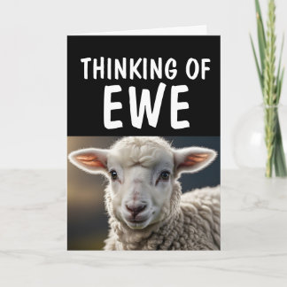 HALLO WENSKAART SCHAPENLAMSVLEES GRAPPIG PUN KAART