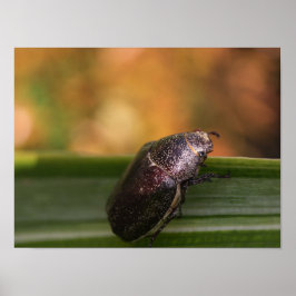 Hallo Wereld! Poster