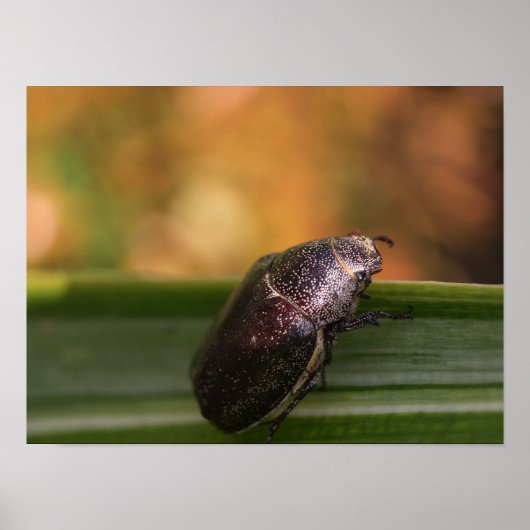 Hallo Wereld! Poster (Voorkant)