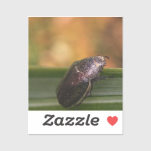 Hallo Wereld! Sticker