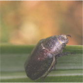 Hallo Wereld! Sticker (Voorkant)