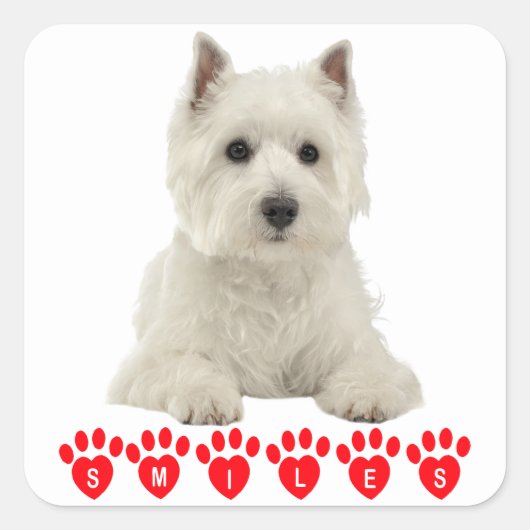 Hallo West Highland Terrier White Puppy Dog Vierkante Sticker (Voorkant)