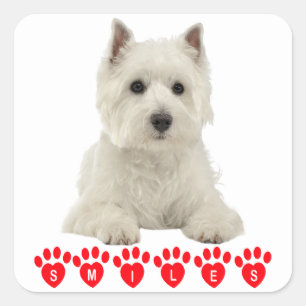 Hallo West Highland Terrier White Puppy Dog Vierkante Sticker