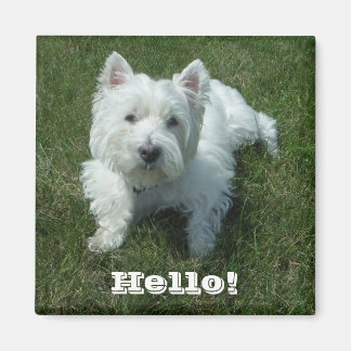Hallo Westie Magneet