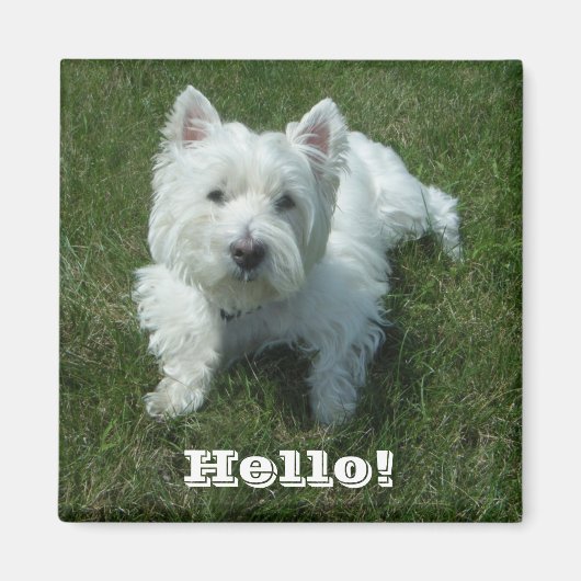 Hallo Westie Magneet (Voorkant)