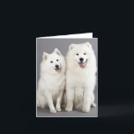 Hallo White Samoyed Puppy Dog - Kaart<br><div class="desc">Verlicht iemands dag met een Samojeed glimlach! Deze schattige hondenkaart heeft een afbeelding van twee vrolijke witte Samojeed puppyhonden gemarkeerd tegen een romige lichtgrijze achtergrond. De binnenkant van de kaart is leeg voor uw bericht. Hondenbriefkaarten zijn ideaal voor... . * Persoonlijk gebruik * Hondenreddings- en adoptieorganisaties * Bedrijven - dierenartsen,...</div>