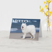 Hallo White Samoyed Puppy Dog - Kaart (Gele Bloem)