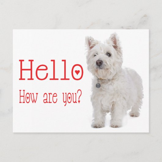 hallo White West Highland Terrier Puppy Dog Briefkaart (Voorkant)