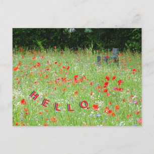 Hallo Wild Flowers Poppies Bench Briefkaart