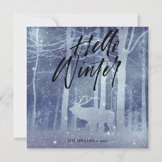 hallo Winter | Kerstmis Feestdagenkaart (Voorkant)