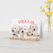 Hallo Witte Labrador Retriever Puppy Hond Rood Har Kaart (Gele Bloem)