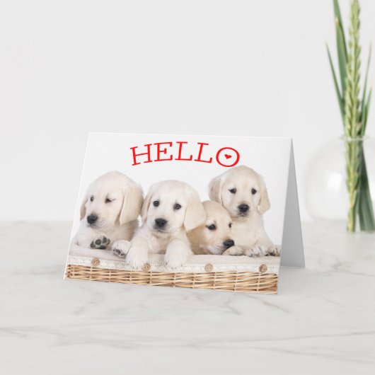 Hallo Witte Labrador Retriever Puppy Hond Rood Har Kaart (Voorkant)