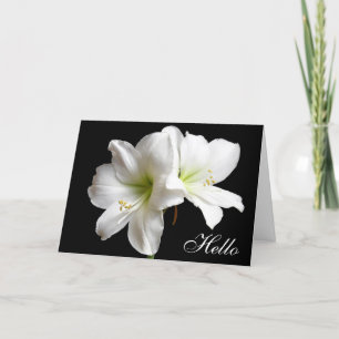 Hallo Witte Lily Flower Wenskaart op zwart Kaart