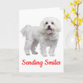 Hallo witte maltese puppy dog denken aan jou kaart (Gele Bloem)