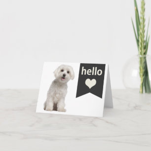 Hallo Witte Maltezer Puppie Hond Blanke Notitiekaa Kaart