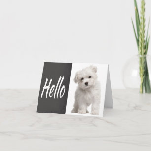 Hallo Witte Maltezer Puppy Hond Schoolbord Notitie Kaart