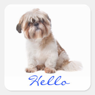 Hallo Witte Shih Tzu Puppy Hondengroet Stickers