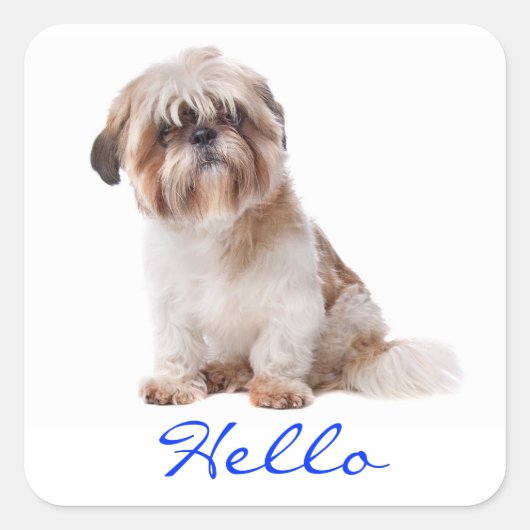 Hallo Witte Shih Tzu Puppy Hondengroet Stickers (Voorkant)