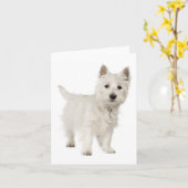 Hallo Witte West Highland Terrier Puppy hond Kaart (Gele Bloem)