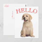 hallo Yellow Labrador Retriever Puppy Dog Briefkaart (Voorkant / Achterkant)