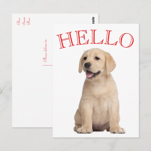 hallo Yellow Labrador Retriever Puppy Dog Briefkaart (Voorkant / Achterkant)