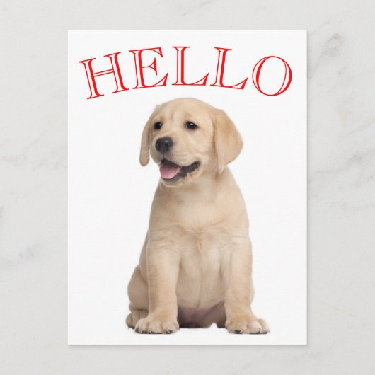 hallo Yellow Labrador Retriever Puppy Dog Briefkaart (Voorkant)