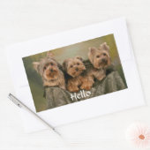 hallo Yorkshire Terrier Puppy Dog Greeting Sticker (Envelop)