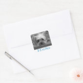 hallo Yorkshire Terrier Puppy Dog Greeting Sticker (Envelop)