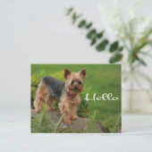 hallo Yorkshire Terrier Puppy Dog Post Card Briefkaart (Staand voorkant)