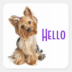 Hallo Yorkshire Terrier Yorkie Puppy Dog Stickers