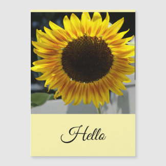 Hallo Zonnebloem