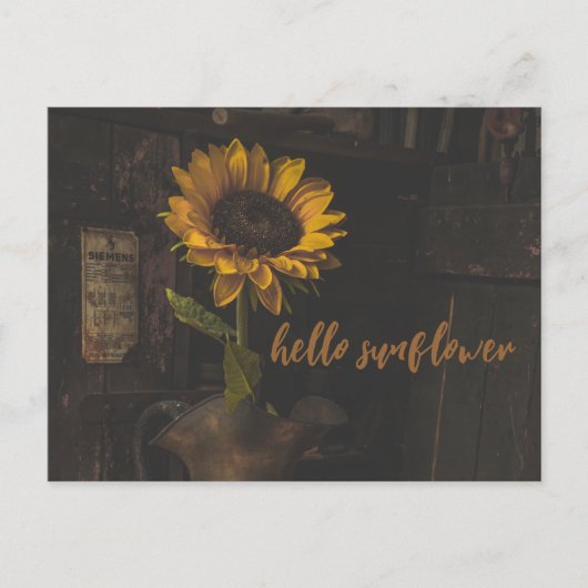 hallo Zonnebloem  Briefkaart (Voorkant)