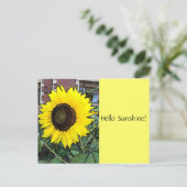hallo Zonnebloem Briefkaart (Staand voorkant)