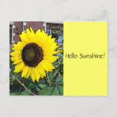 hallo Zonnebloem Briefkaart (Voorkant)