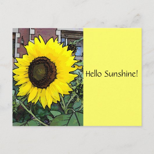 hallo Zonnebloem Briefkaart (Voorkant)