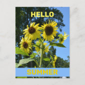Hallo Zonnebloem Briefkaart (Voorkant)