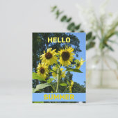 Hallo Zonnebloem Briefkaart (Staand voorkant)