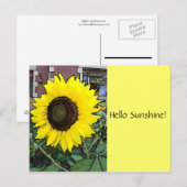 Hallo Zonneschijn Zonnebloem Ansichtkaart Briefkaart (Voorkant / Achterkant)